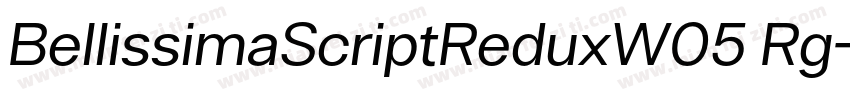 BellissimaScriptReduxW05 Rg字体转换
